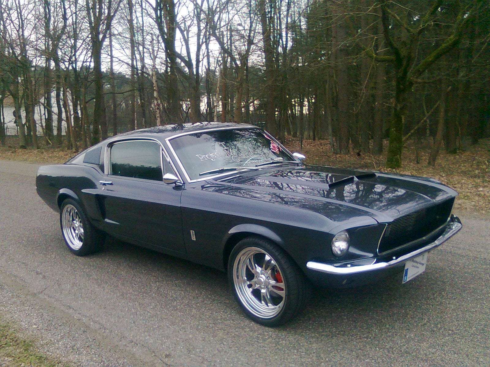 Ford Mustang 1967 fastback "TMG 001" #702 | The Mustang Garage